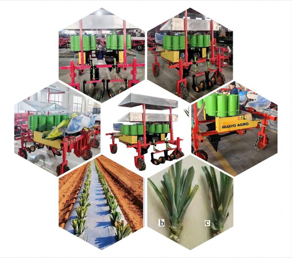 Pineapple Transplanter - HUAYO AGRO MACHINE